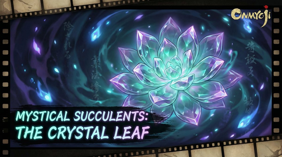 看片植物视频-多肉植物视频